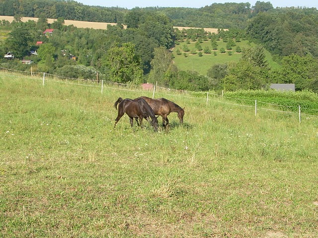 dscn1062.jpg